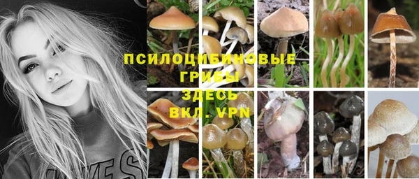 а пвп мука Медвежьегорск